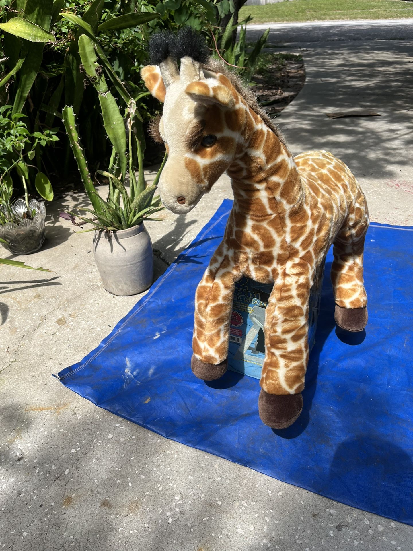 Giraffe