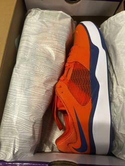 Nike sb ishod wair orange blue jay size 11.5 DS new