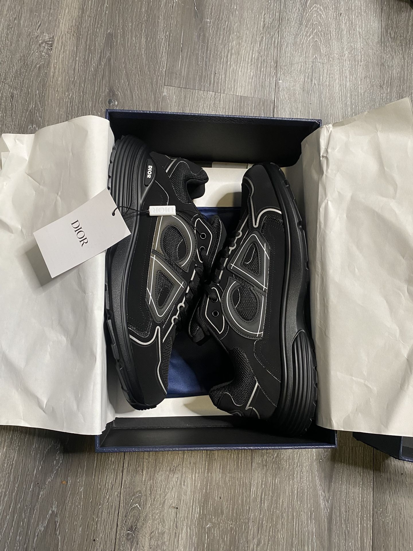 Dior B30 Designer Shoes