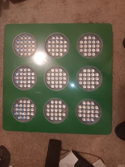 LED Grow Lights