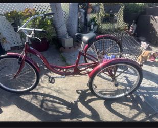 3 wheeler bike