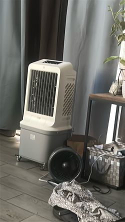 Fan