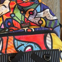 Romero Brito Back Pack Used