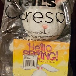 Easter Bunny 🐰 Plush with Book 