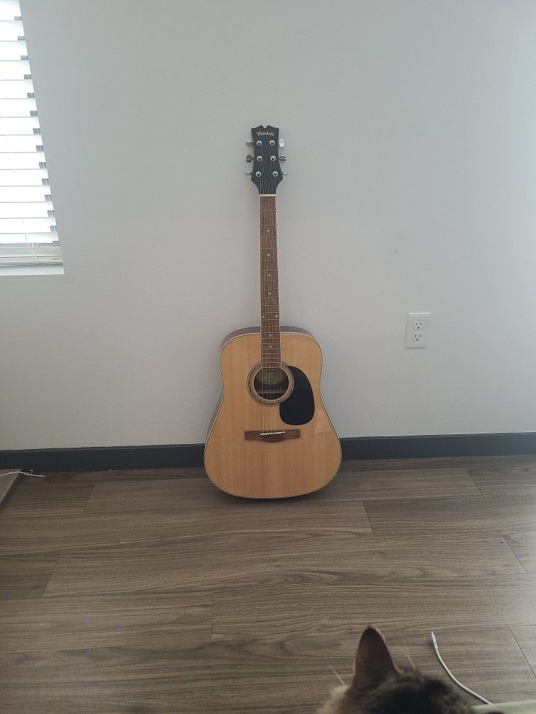 Mitchell D120 acoustic Guitar