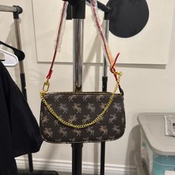 Woman’s Handbag