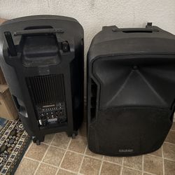 Edison Professional St-3000 Multi-Function Loud Speaker and PA System, Black ST3000