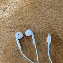 Apple Earphones (Used)