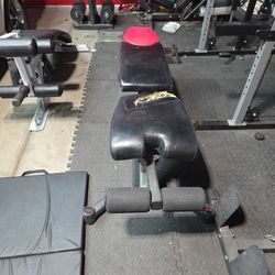 Bowflex Bench