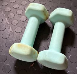 5 Lb Weighs Perfect For Aerobics Or A Quick Workout