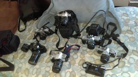 50$ each