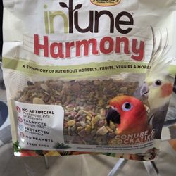 Bird Food