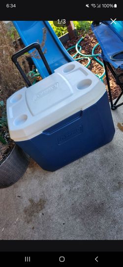 Cooler ice chest