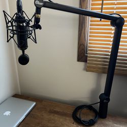 Blue Professional microphone and stand