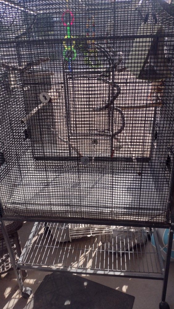 Bird Cage