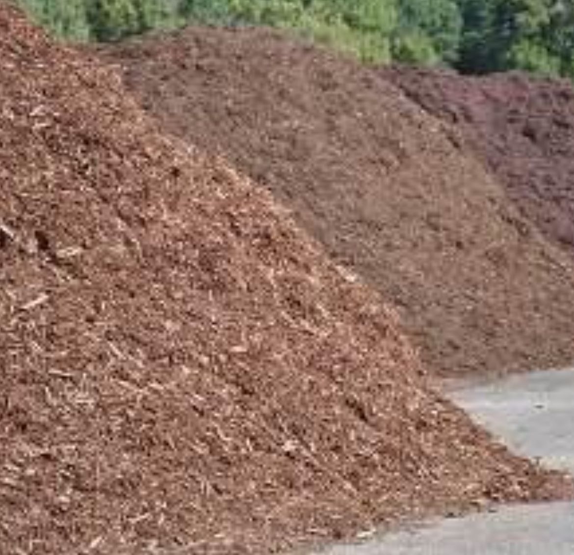 Free Dump Sight For Mulch, Rocks, And Fill Dirt I’m Only A Dump Sight Only