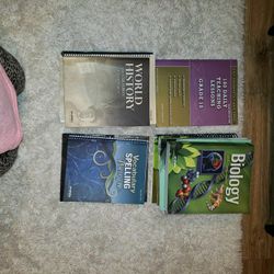 10th Grade Curriculum, including, Abeka, and Easy Grammar Ultimate Series