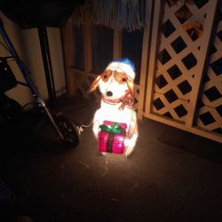 Dog with Present Light Up Christmas Yard Decoration
20"
Vintage
