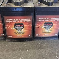 Vmax 6 Volt Agm Golf Cart Batteries