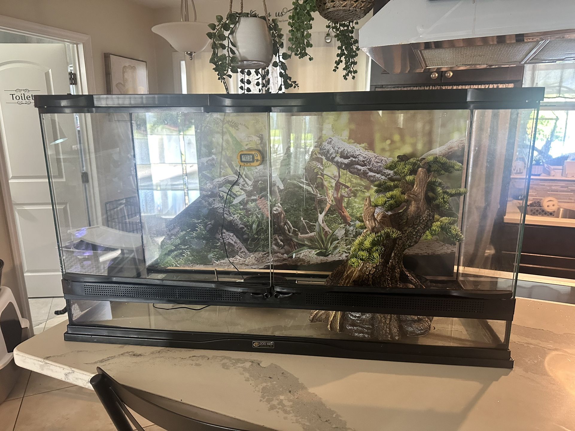 Terrarium 40 Gallons