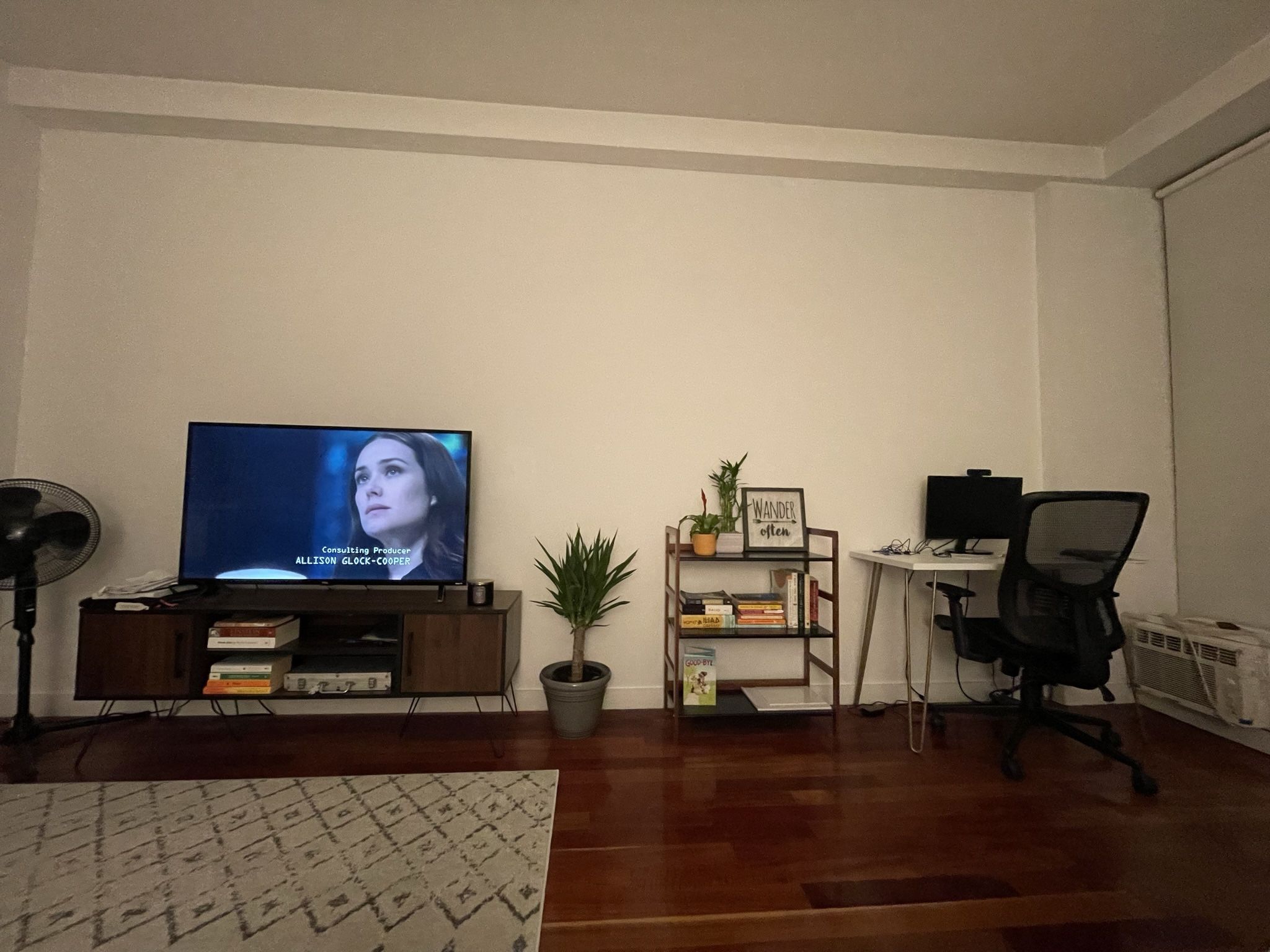 TV Unit + Roku 55 TV