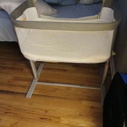 BABY BASSIENT BRAND NEW BARELY USED 