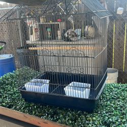 Bird Cage