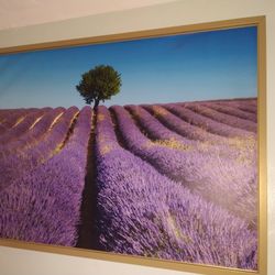 Lavender Flowers Paint