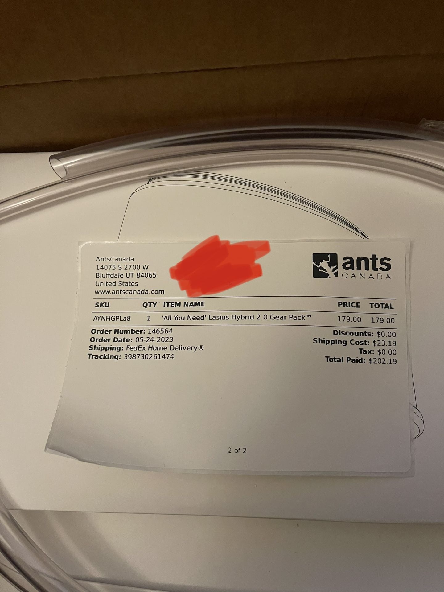 Professional Ant Enclosure