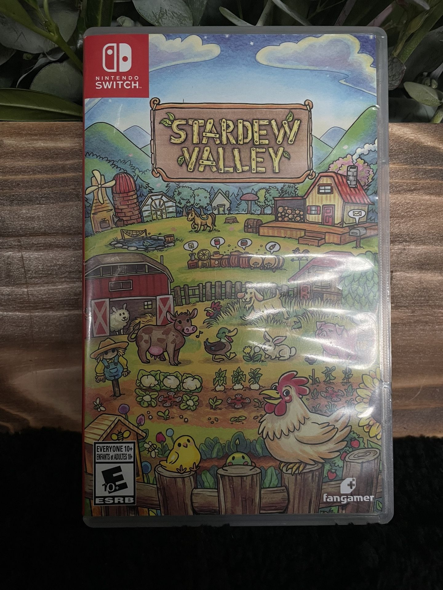 Nintendo Game
