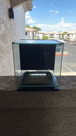 Small Glass Aquarium Tank with Black Base