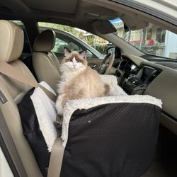 Brand New Médium Size Snoozer Car Seat 