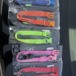 LED Adjustable Dog Collars 🐶
