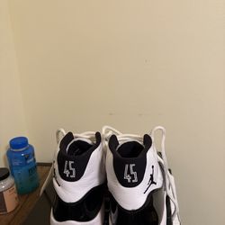 White/Black Concord Jordan 11s