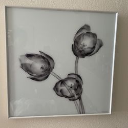 Black And White Framed Art