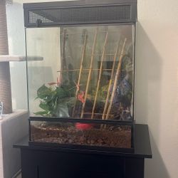 18x18x24” Glass Tank,  Stand Included, Amphibians, Terrarium