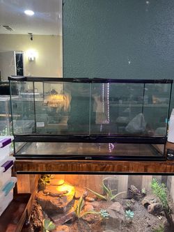 Reptile enclosure