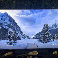 85” sony bravia