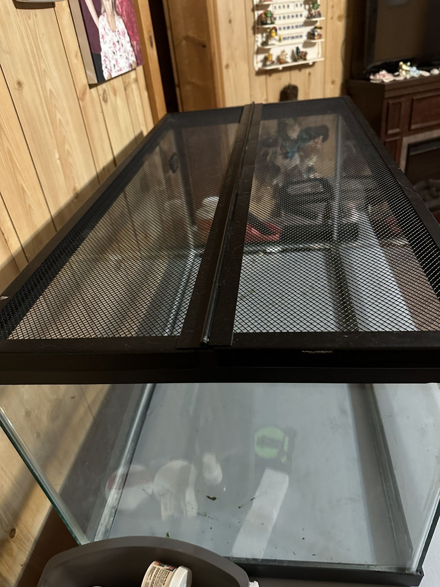 40 Gallon Tank