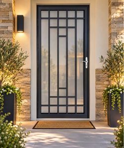 36” x 80” Black Steel Security Door