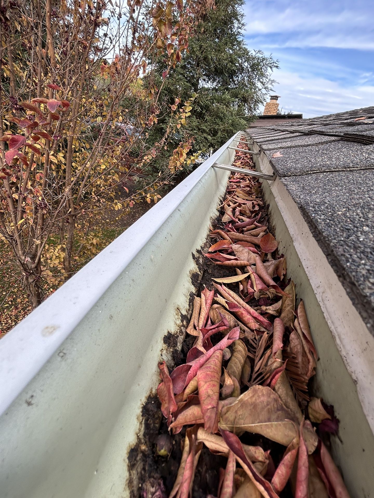 Rain Gutter Cleaning