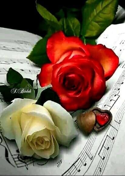 Piano Lessons