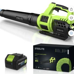 Steelite 21V Cordless Leaf Blower,120 MPH 480 CFM,Electric Lightweight Blower with 4.0Ah Battery Pack and Charger