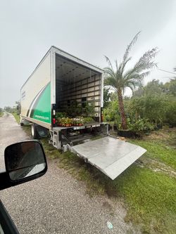 Plants for Sale