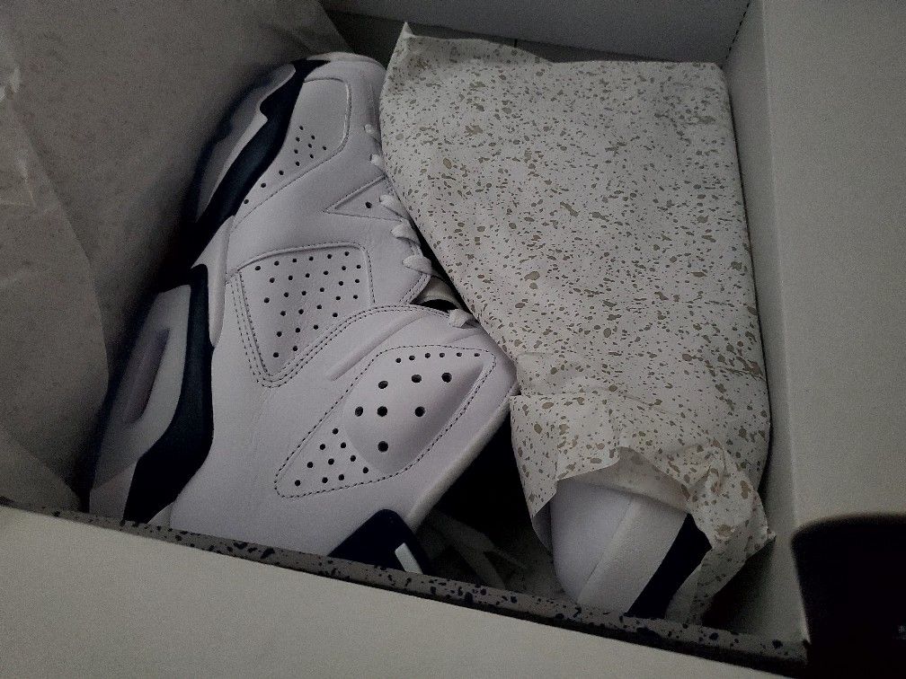 Jordan 6 White and Navy