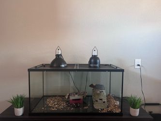 Thrive 50 Gallon Fish/Reptile Tank
