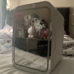  Mini Fridge
