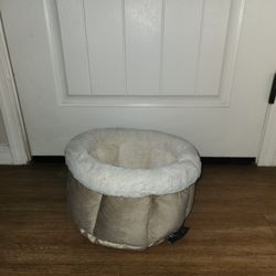New Puppy Bed