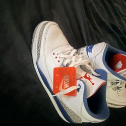 Jordan True Blue 3’s