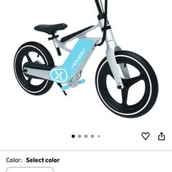 Electric Bike 